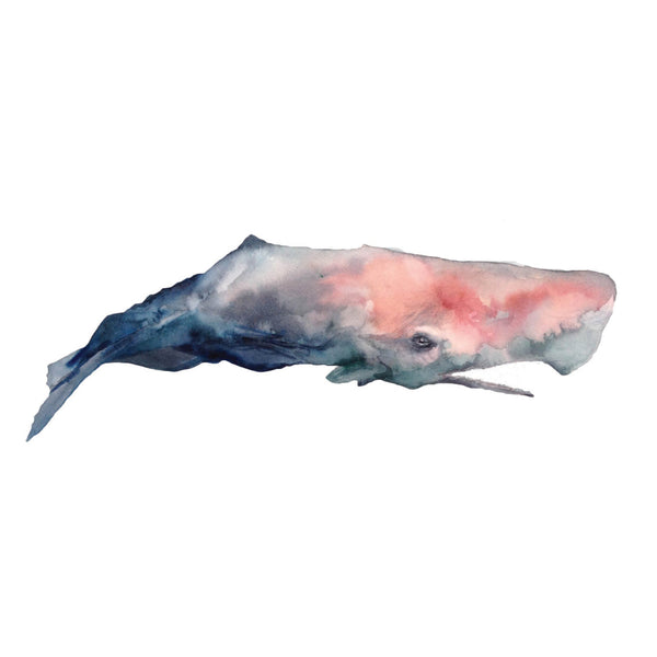 Sperm Whale Essex