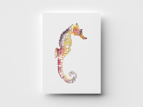 Pacific Seahorse Limited Edition Print