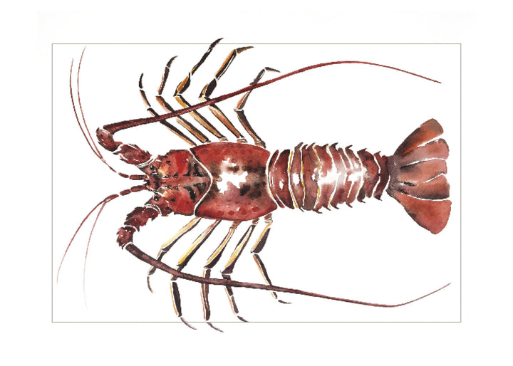 "Spiny Lobster" Greeting Card