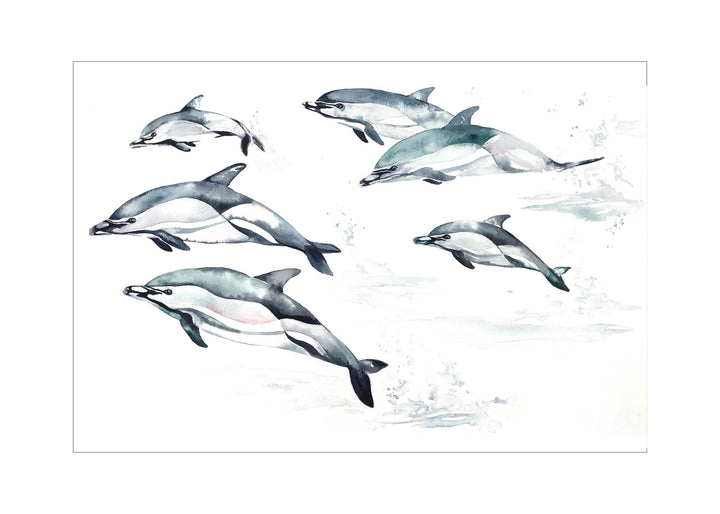 "Common Dolphin" Greeting Card