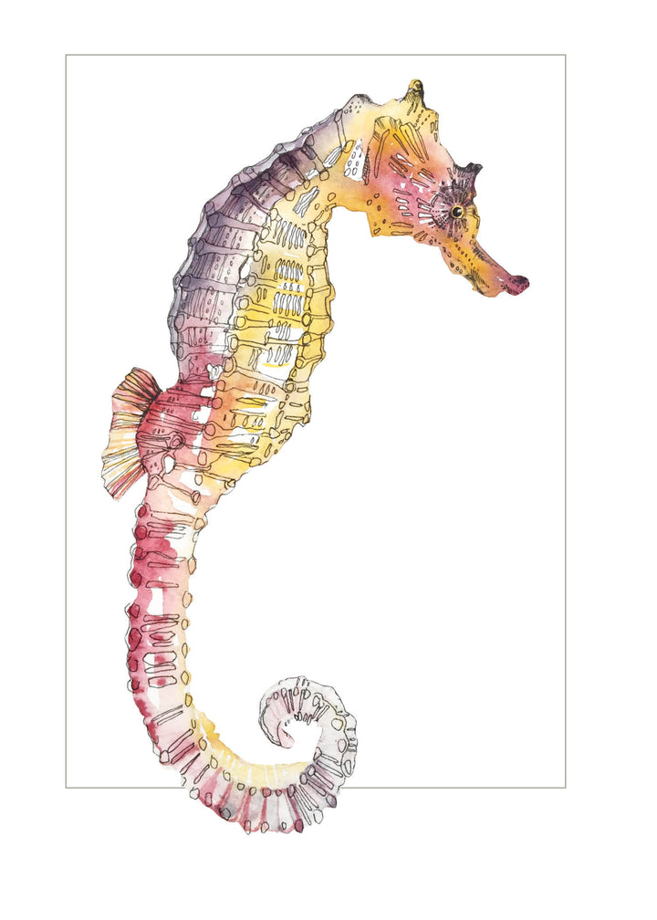 "Pacific Seahorse" Greeting Card