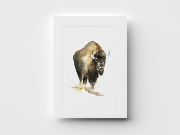 "Bison" Greeting Card