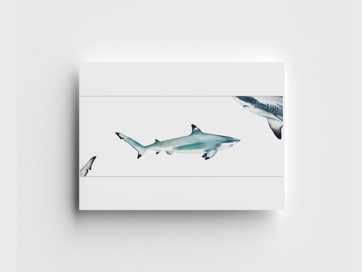 Black Tip Reef Sharks Greeting Card