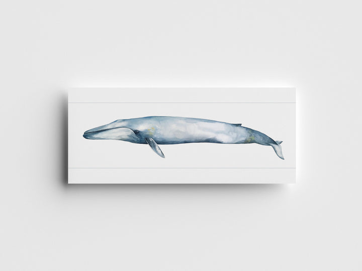 "Blue Whale" Greeting Card
