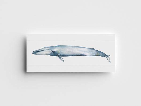 "Blue Whale" Greeting Card