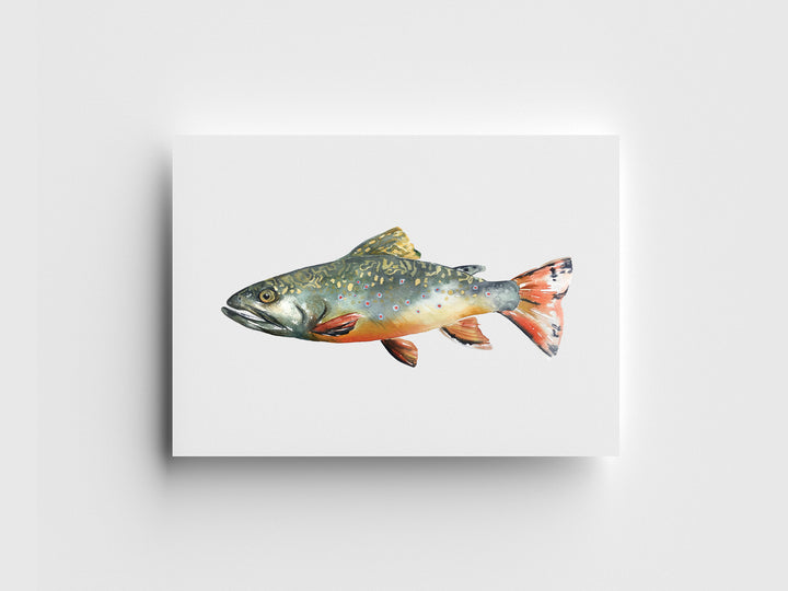 Brook Trout Limited Edition Print