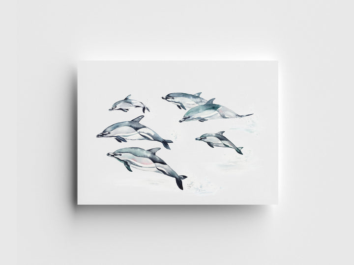 Common Dolphins Limited Edition Print