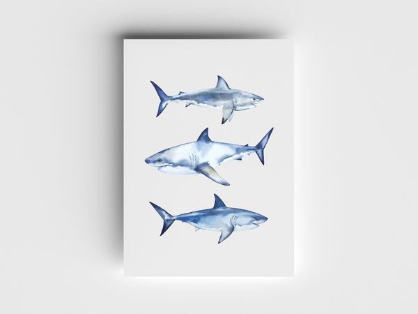 Great Whites Limited Edition Print
