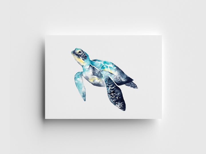 Hawksbill Turtle Limited Edition Print
