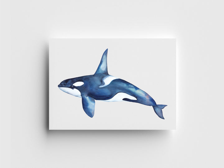 Bigg's Killer Whale Limited Edition Print