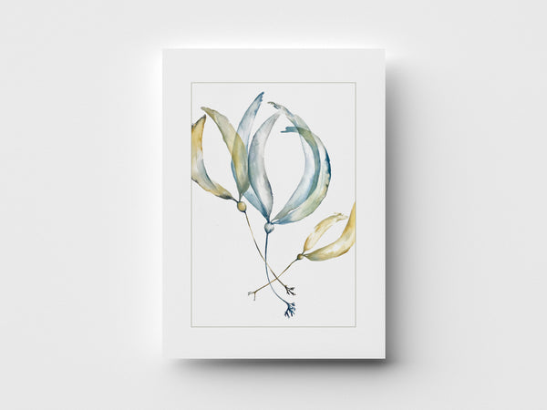 "Little Kelp" Greeting Card