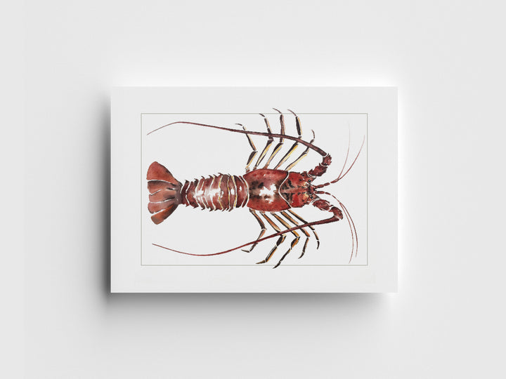 "Spiny Lobster" Greeting Card