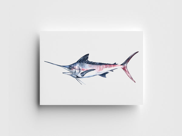 Marlin Limited Edition Print