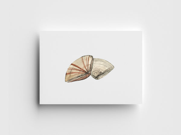 Pismo Clams Limited Edition Print