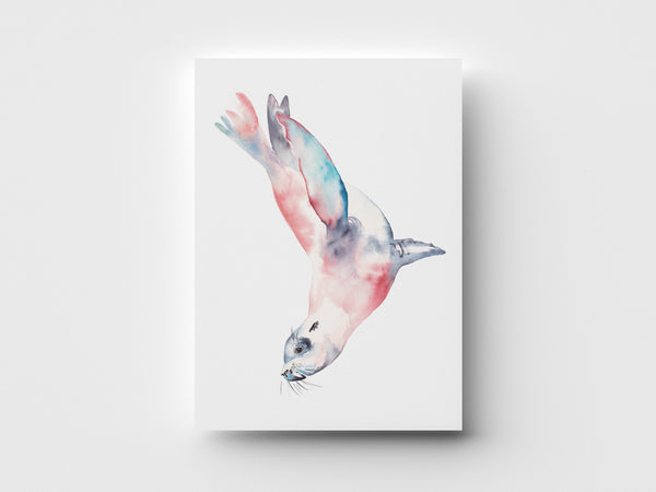 Sea Lion Limited Edition Print