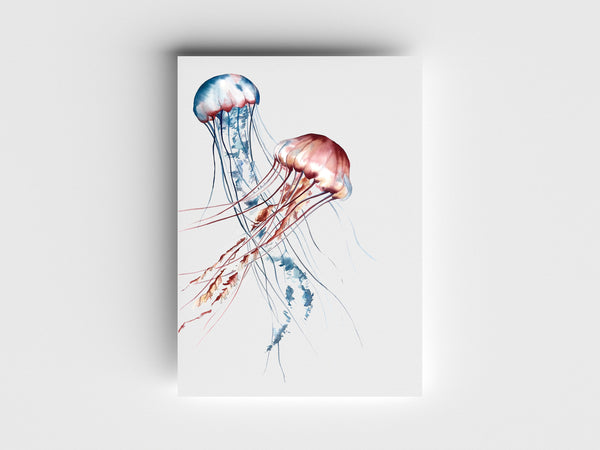 "Jellies for Tina" Limited Edition Print