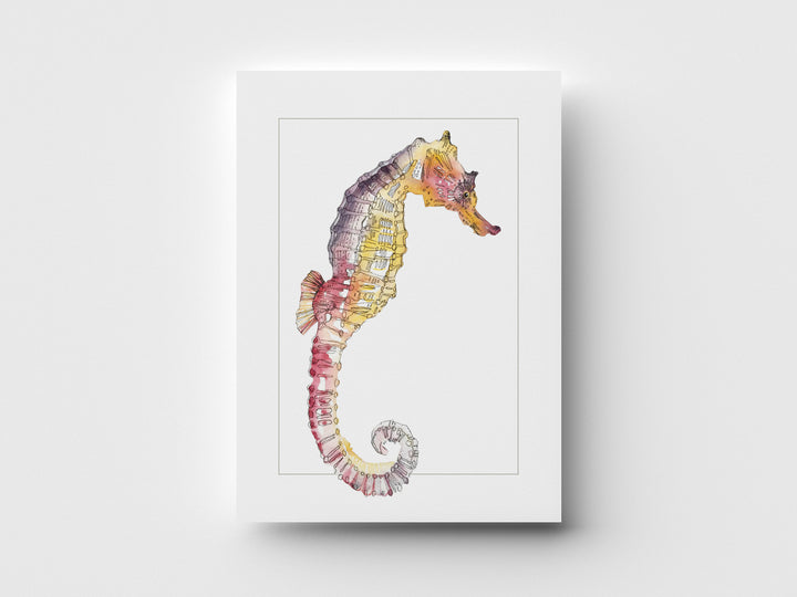 "Pacific Seahorse" Greeting Card