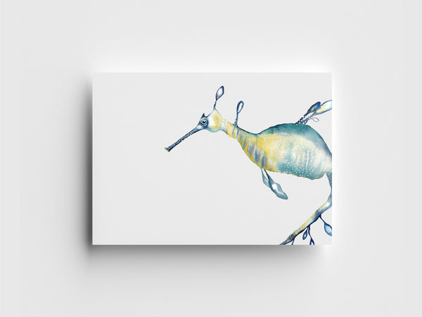 "Weedy Seadragon" Limited Edition Print