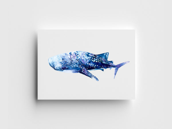 Whale Shark Limited Edition Print